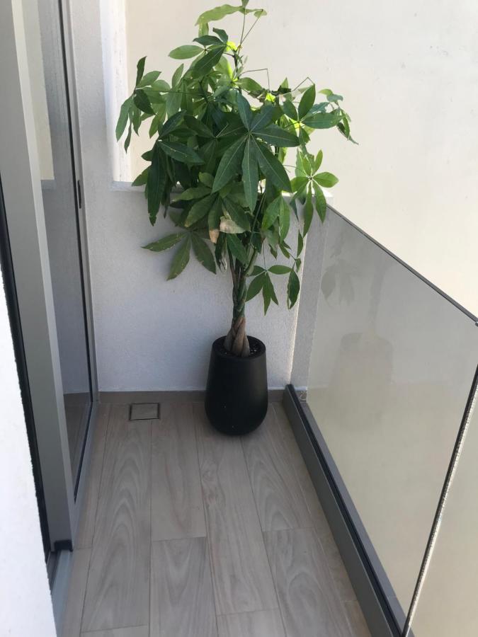 Casbah Boutique Hotel パレオコラ エクステリア 写真
